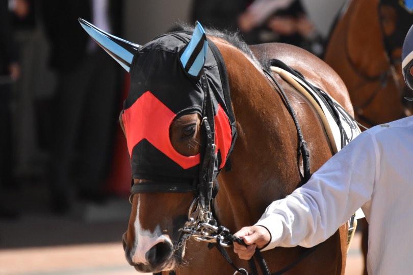 （地方）メイザーキック