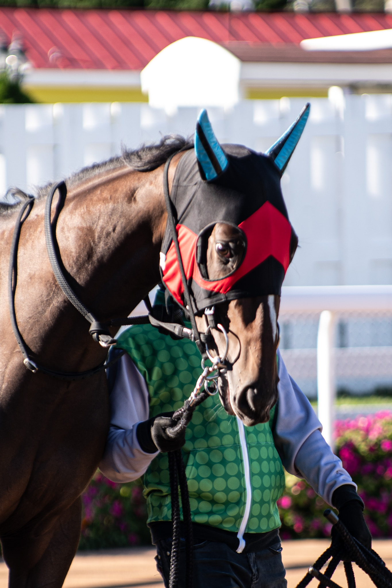（地方）ロスカキック