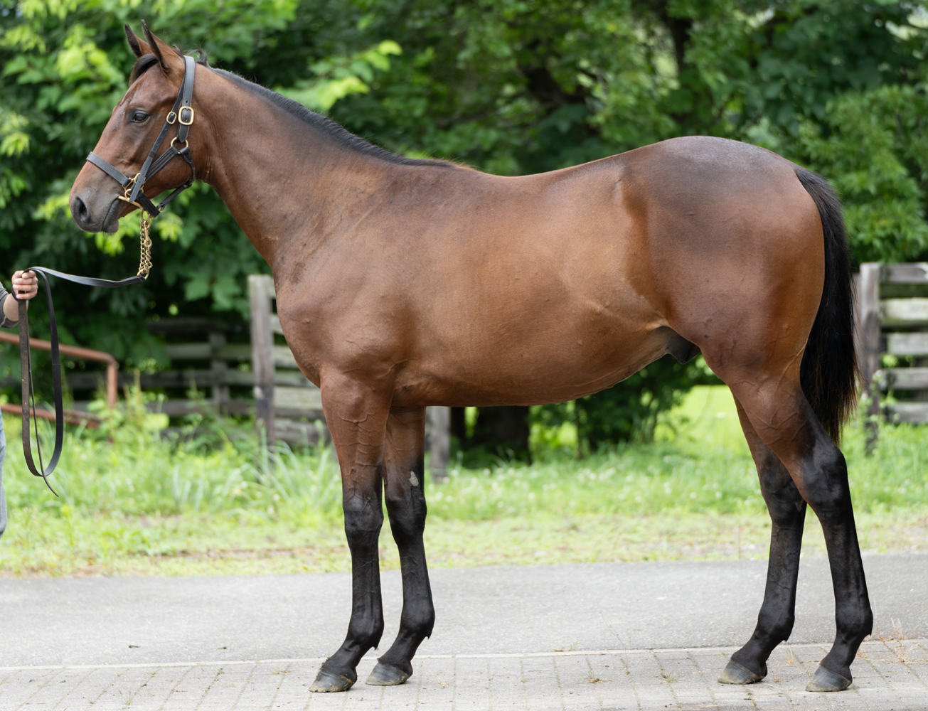 （地方）サンサンキック